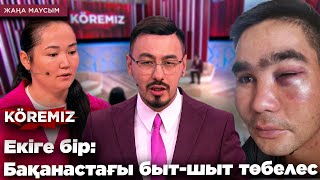 картинка: ЕКІГЕ БІР: БАҚАНАСТАҒЫ БЫТ-ШЫТ ТӨБЕЛЕС / KOREMIZ