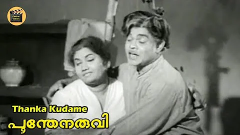 Thanka Kudame |  Poonthenaruvi movie Song | P. Jayachandran | P. Leela | Rajmohan | Central Talkies