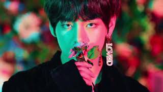 BTS V - Singularity (High Pitched)