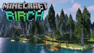 The SUPERIOR Version of the BIRCH forest  Minecraft Transformation
