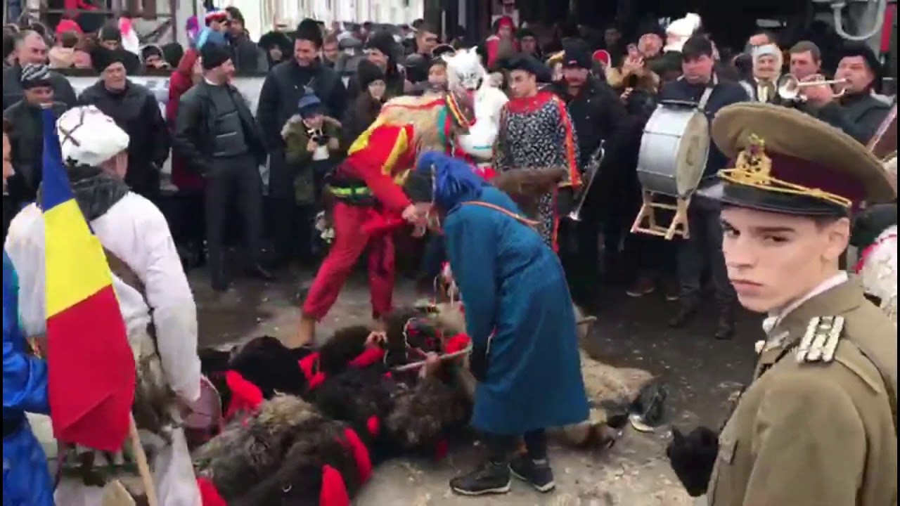 Ursul din Cristești(Iași)- Marius Mihalcea 2019-2020