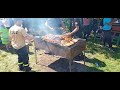 # 203 , Cześć tu Jarosław 😉,, Grillowanie na Łopieniu,🍺🍺🍺.