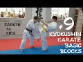 Базовые блоки в киокушин карате. Хиза гери. Часть 9. Kyokushin karate basic blocks.Hiza geri.Part 9.