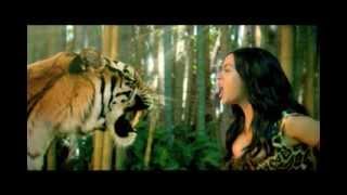 Katy Perry Roar Figurative Language