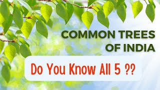 5 Most Common Trees In India | Common Indian Trees & Their Uses | Kids