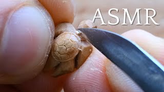 Carving a Wooden Turtle Pendant  ASMR Wood Carving