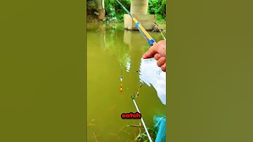 Most unique hook fishing video by small rod in river #fishing #fish