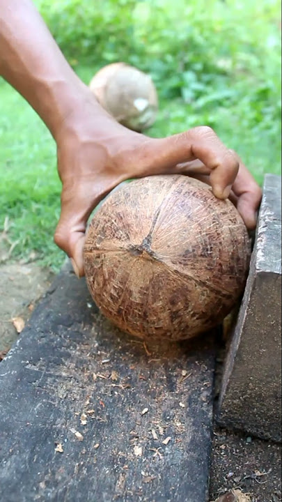 awesome skill for take the coconut meat