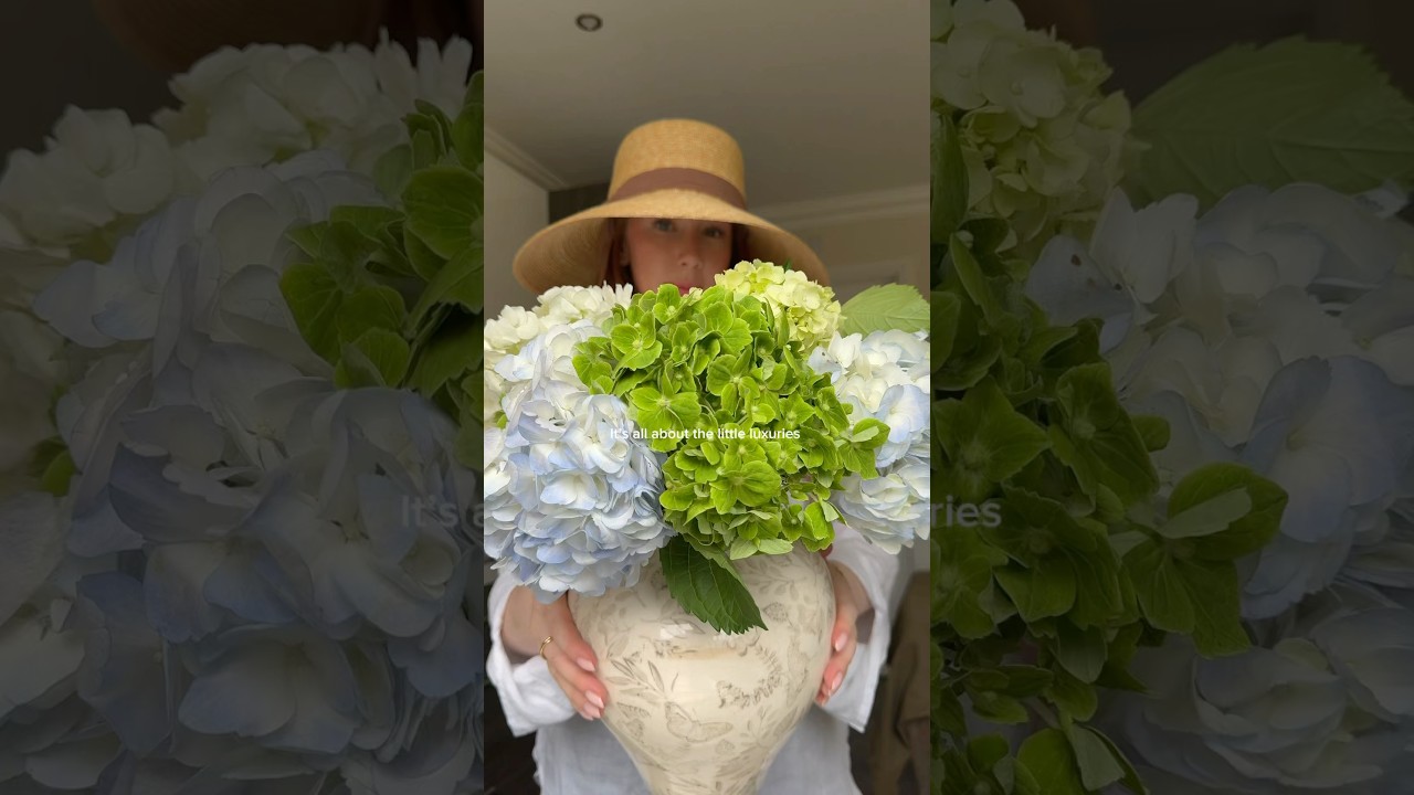 Hydrangea season🤍