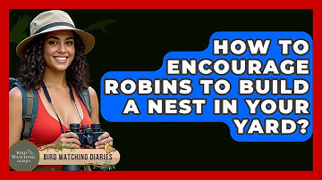 How To Encourage Robins To Build A Nest In Your Yard? - Bird Watching Diaries