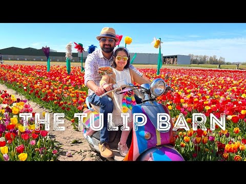 The Tulip Barn | Hillegom, Netherlands