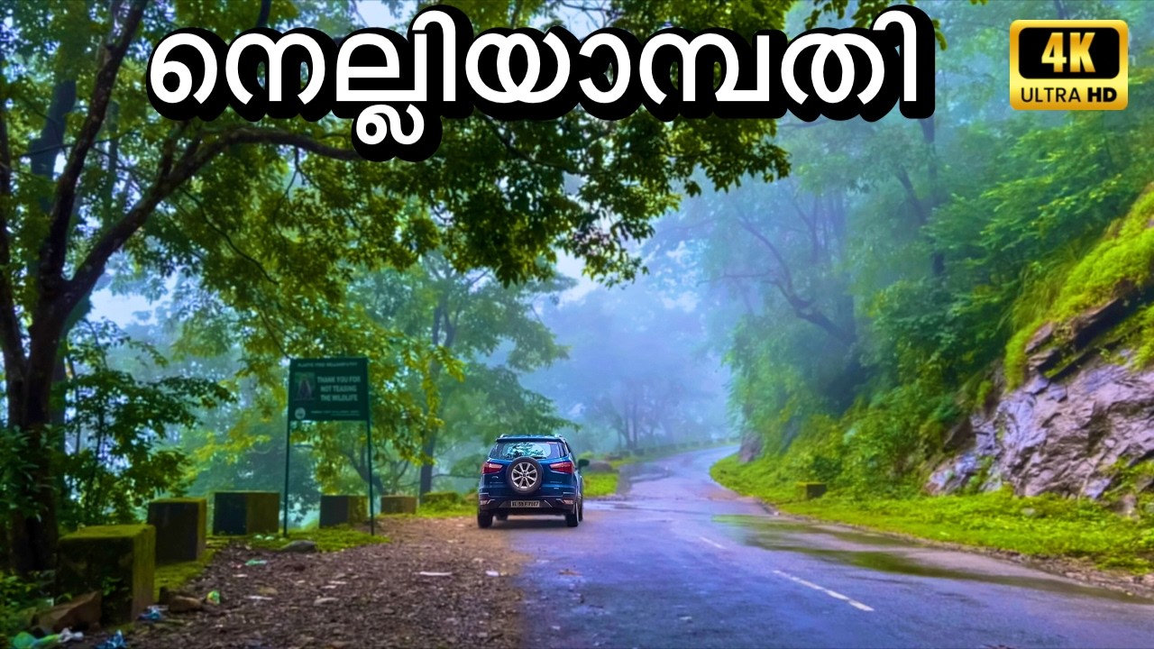 നെല്ലിയാമ്പതിയിലേക്ക്  ഒരു മഴക്കാല യാത്ര ഫാമിലിക്കൊപ്പം | Monsoon Trip to Nelliyampathy | 4K UHD