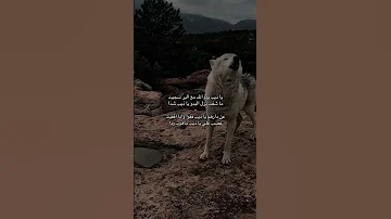 ياذيب يوم انك مع البر سجيت 