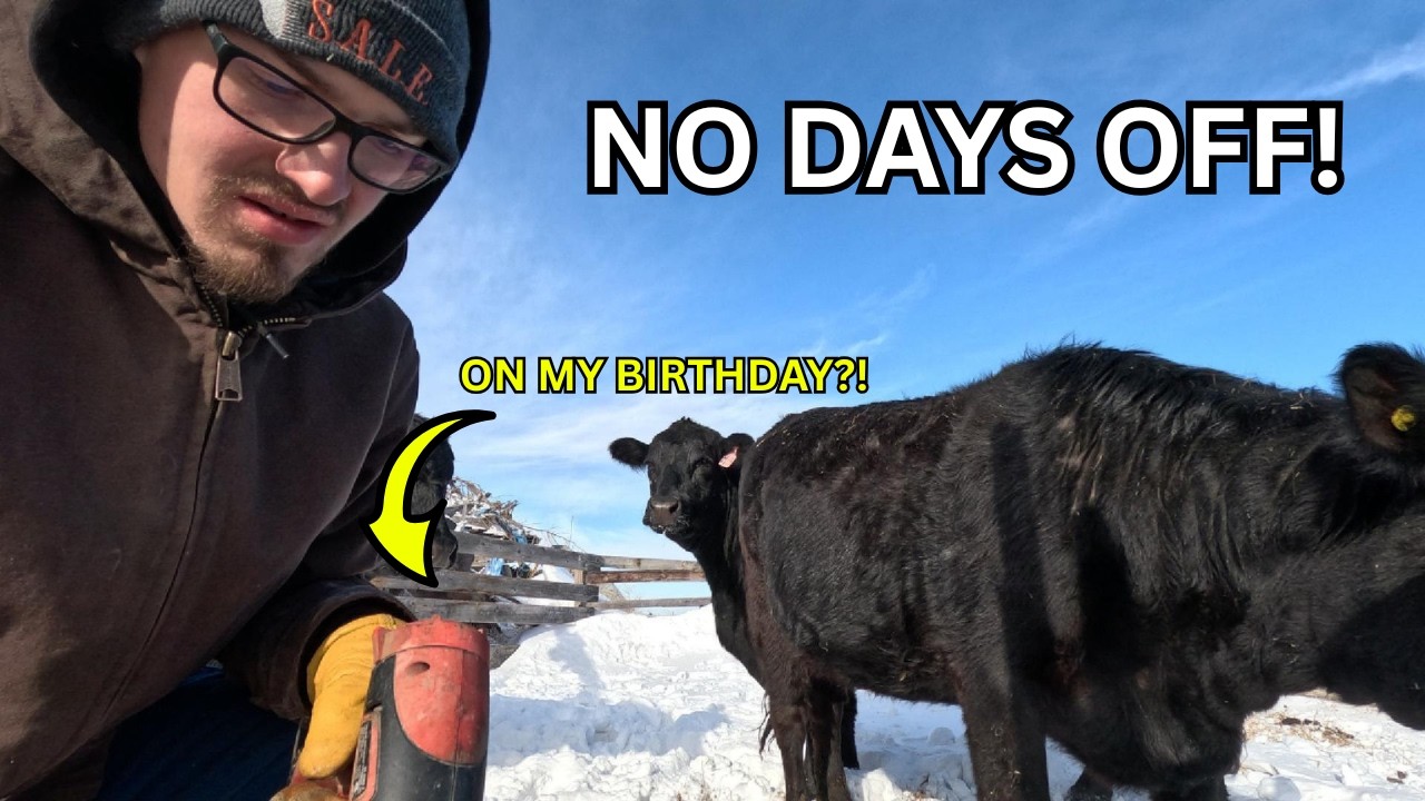 My BIRTHDAY and the Waterers Froze