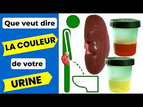 Vidéo: Le chlore décompose-t-il l'urine ?