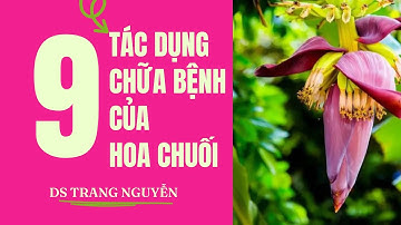 9 công dụng của hoa chuối và 10 món ngon từ hoa chuối tốt cho sức khỏe