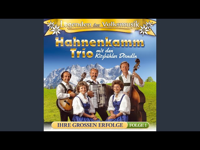 HAHNENKAMM TRIO - SING EIN LIED MIT UNS