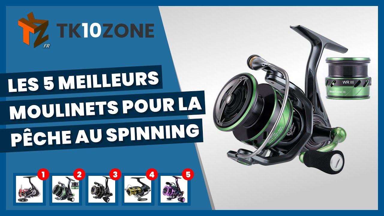 Moulinet de pêche FLW Spin Star FX1000 Silver Spinning bien entretenu testé