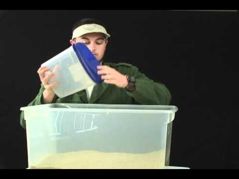 ferret toy rice box - YouTube