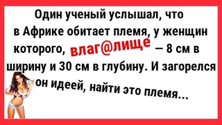 ВЛАГ@ЛИЩЕ 30СМ В ГЛУБИНУ И 8СМ В ШИРИНУ... СМЕШНЫЕ АНЕКДОТЫ! ЮМОР! ПРИКОЛЫ!