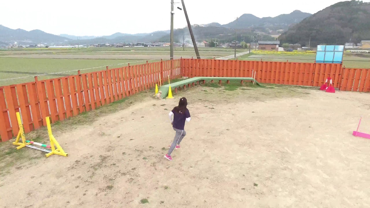 ドッグラン ワンふれんず ドッグラン ワンふれんず