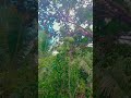 Miền tây quê em#shortvideo