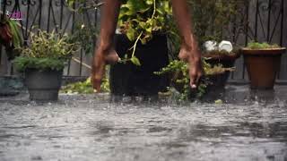 Story of ballet Feet | Bali Dance studio | Ballet Boyz India Unit