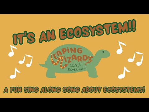 It's an Ecosystem
