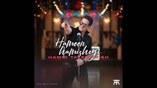Hamid Talebzadeh Hamoon Hamishegi MP3   حمید طالب زاده همون همیشگی