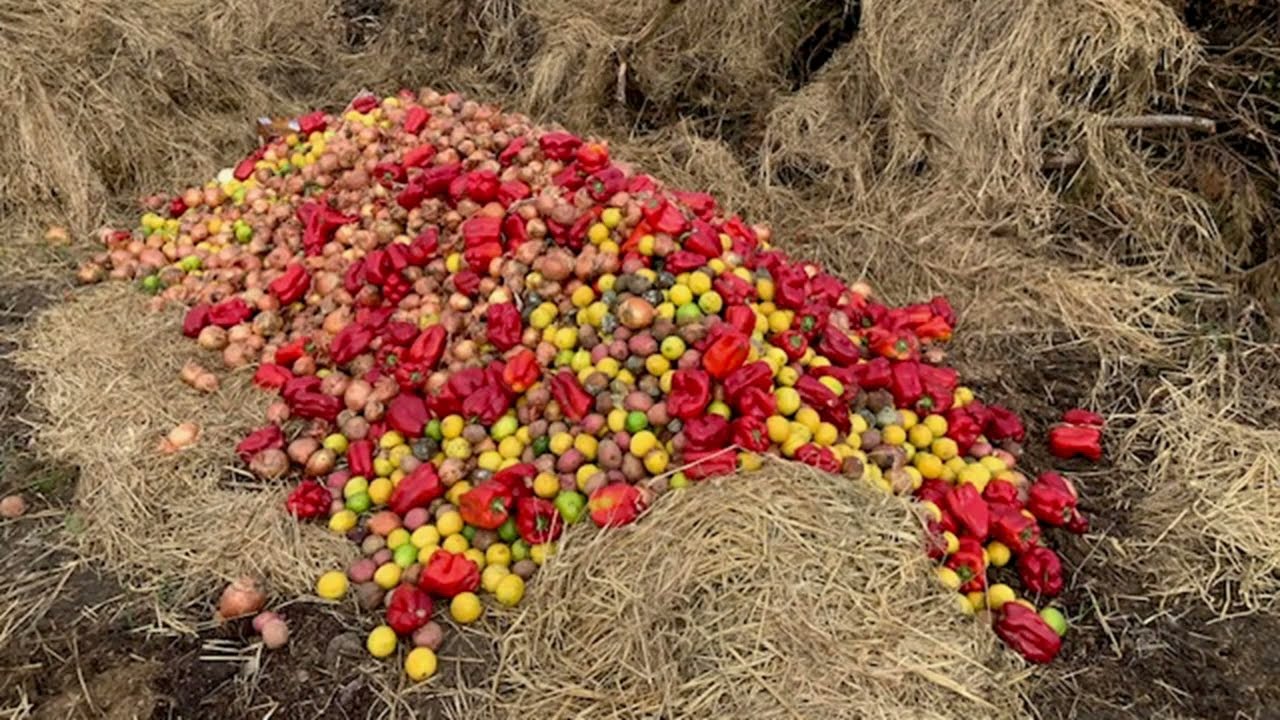 Dancing Goats and Singing Chickens Organic Farm Pitch - May 2025