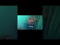 Voltage Bloom Short – Live Industrial Electronic Music Performance