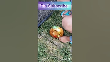 Home grown Cherry Tomatoes #homegarden #ytshorts #shorts #kids #tomatoes