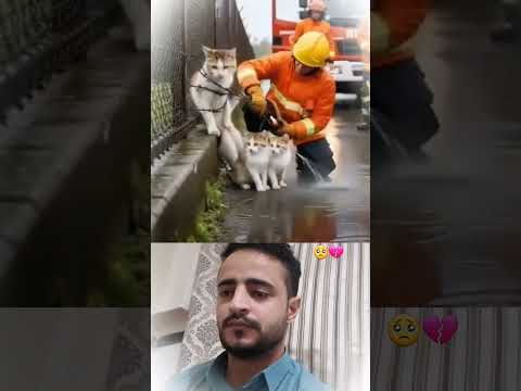 لماذا يحصل ذلك  اقنباسات  اهميه   