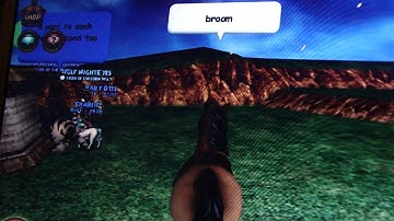 Turn into mount, pet, or INVISIBLE-W101