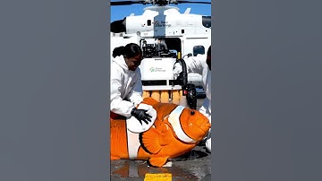 GIANT CLOWNFISH EMERGENCY Barnacle-Ridden Icon Airlifted From Death #animalrescue #ocean #wildlife