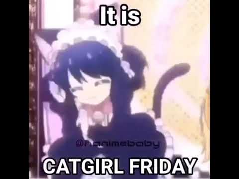 It’s (late)  cat girl Friday