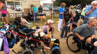 Canine Companions Fund Raiser