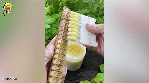 Most Satisfying Factory Machines and Ingenious Tools | Best Compilation of 2024 !