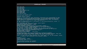 NetBSD 8.0 on Amiga A3000 (WinUAE), Picasso IV graphics