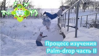 MY PALM DROP PROGRESSION (2 month) Part#2