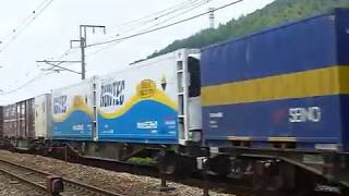 [警笛あり]EF210形300番台 2070ﾚ貨物列車 東岡山駅付近通過