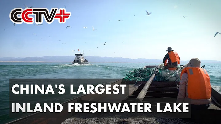 China's Largest Inland Freshwater Lake Ensures Fish Feasts for Locals - DayDayNews