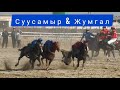 Кокбору 2020/ Суусамыр & Жумгал/ Президенттин Кубогу 🏆/ Тең тайлашкан командалар🔥🔥🔥