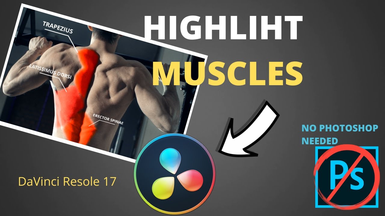 How to Highlight Muscles In The DaVinci Resolve 17 │No YouTube