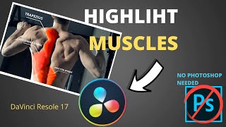How to Highlight Muscles In The DaVinci Resolve 17 │No Photoshop