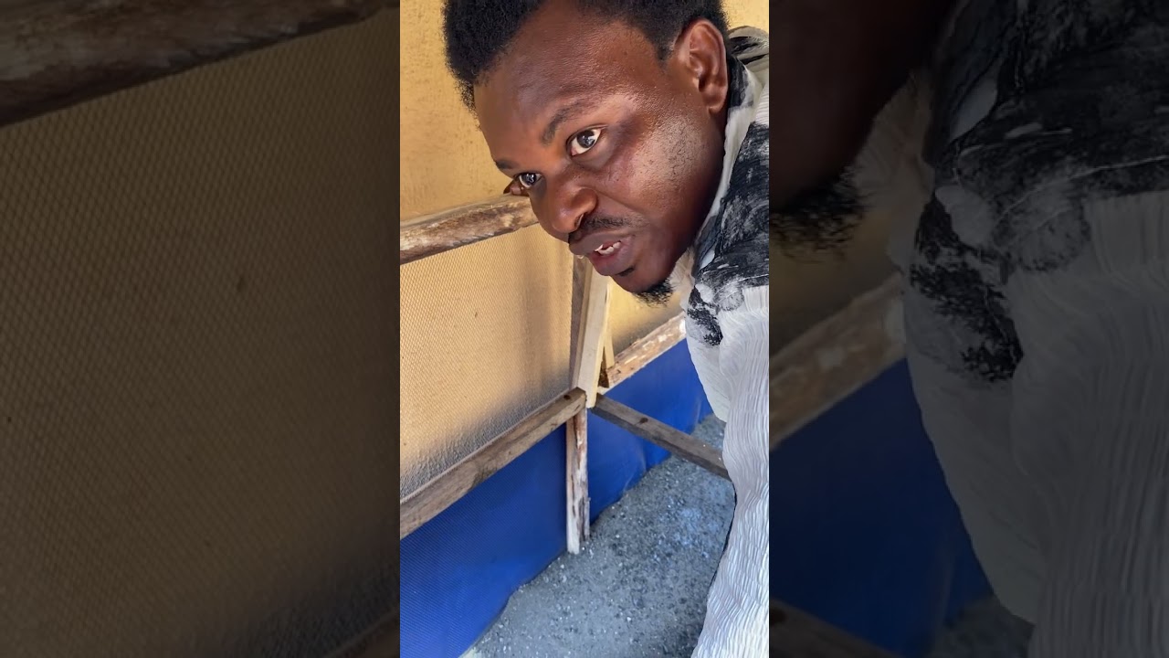 Revealing hidden secrets in snail farming – a must-watch for NEW SNAIL FARMERS!  +2348027247470