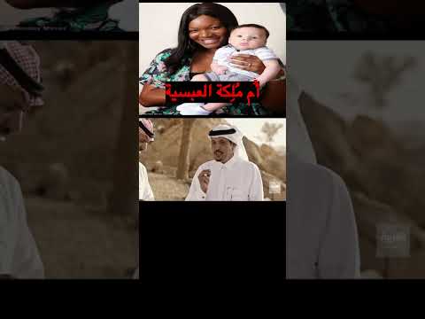 نسب الحطئئه العبسي ابن استبظاع من رجل من سدوس