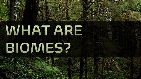 What are Biomes?