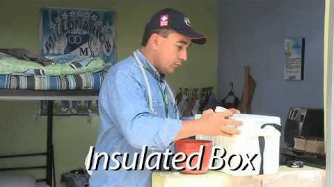 Collection of adult mosquitoes in the field.