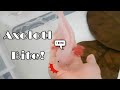 Axolotl biting compilation